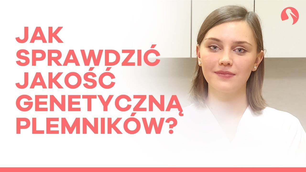Badanie fragmentacji DNA plemnik&oacute;w &ndash; wskazania i przebieg