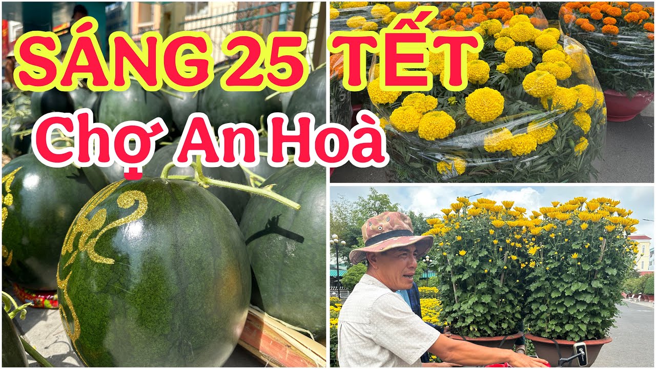 SÁNG 25 tết, CHỢ TẾT AN HOÀ Lộ 19 TP Can Tho 🌺12/2/2026🌺cần thơ ký sự
