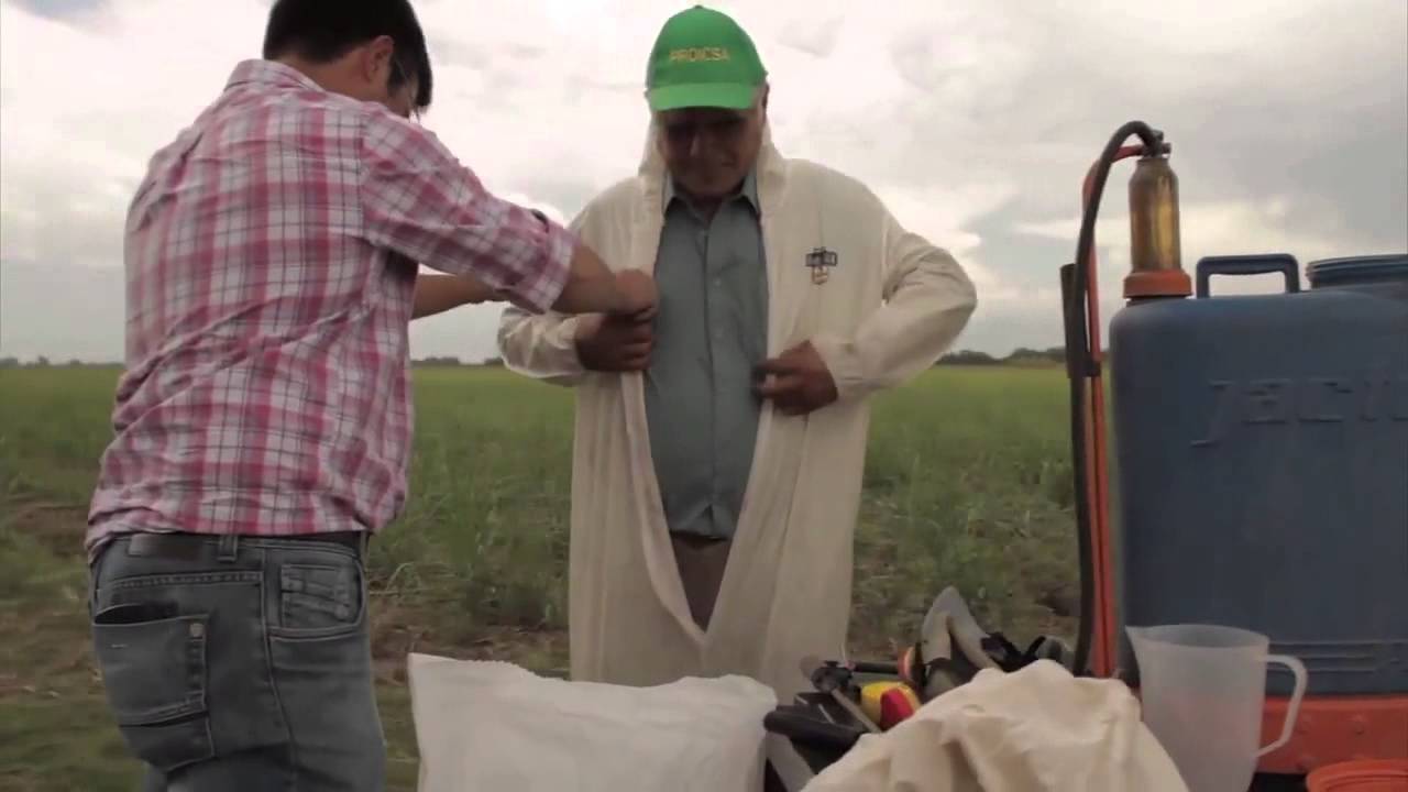 PROICSA: Tutorial - Control de malezas en caña de azúcar