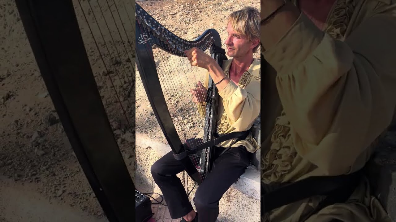 Jakub Rizman plays electric harp