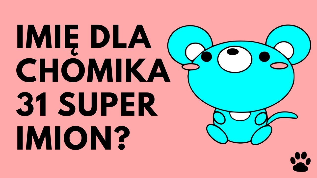 Imię dla chomika - 31 super propozycji | Imionowo