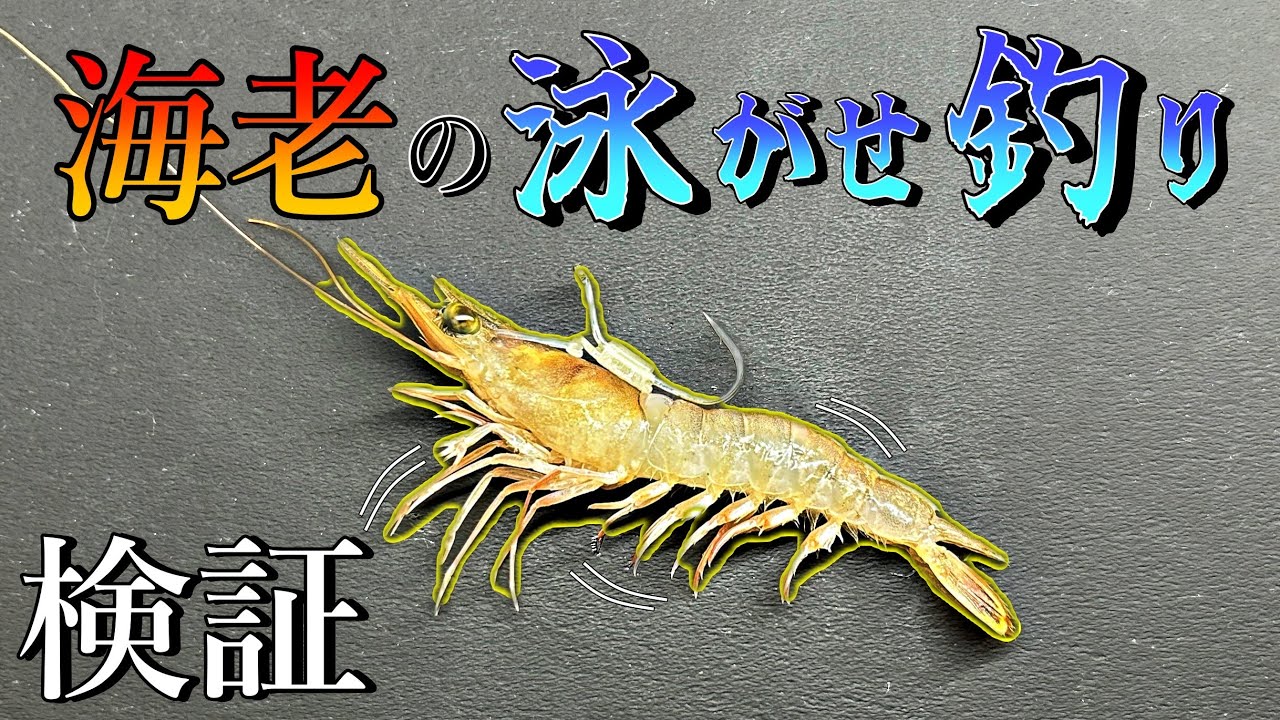 勝ち確？エビを泳がせる仕掛けでタイを狙ってみた。