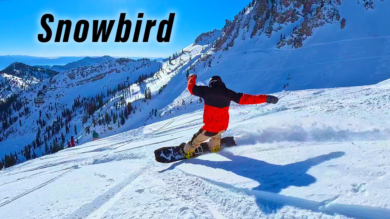 Ripping INSANE POW LAPS with Snowboard Pro Camp - Snowbird 2024