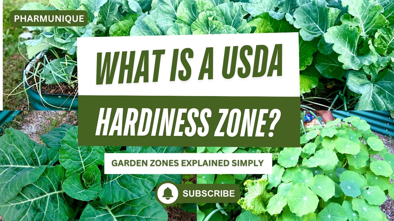Что такое зона морозостойкости USDA? Простое объяснение садовых зон.