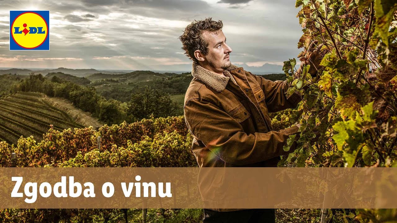 SAMI DOMAČI: Po poti dobrih vin -  Zgodba o vinu