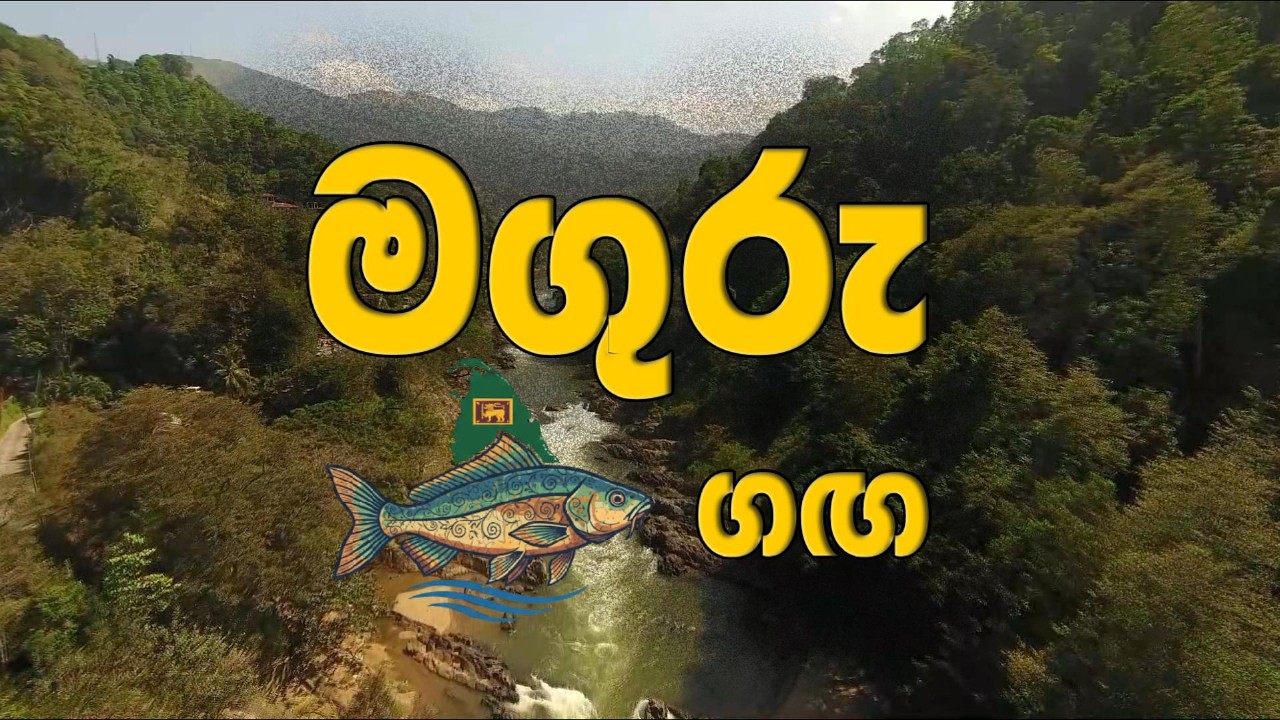 පළමු වතාවට මාධ්‍යට අනාවරණයවන මඟුරු ගං පතුලේ සුන්දරත්වය | Maguru Ganga | Documentary
