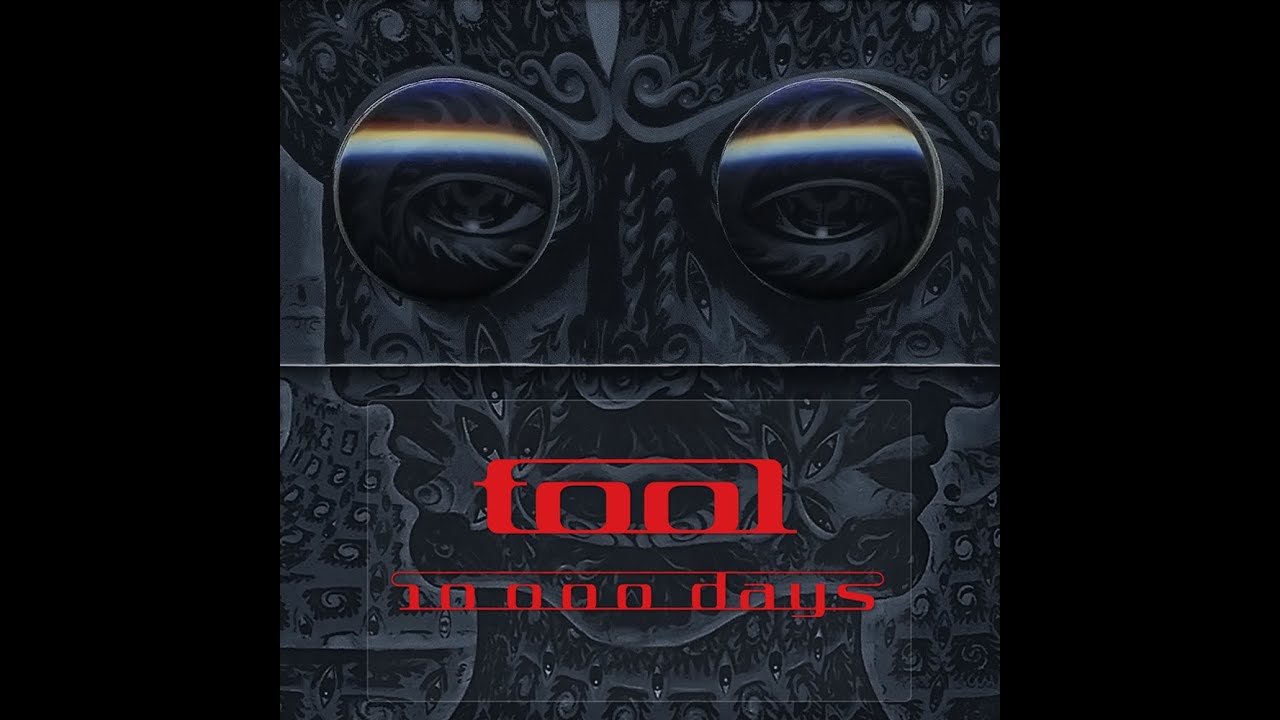 Tool - Vicarious (Bass Playthrough by Paweł Michałowski)