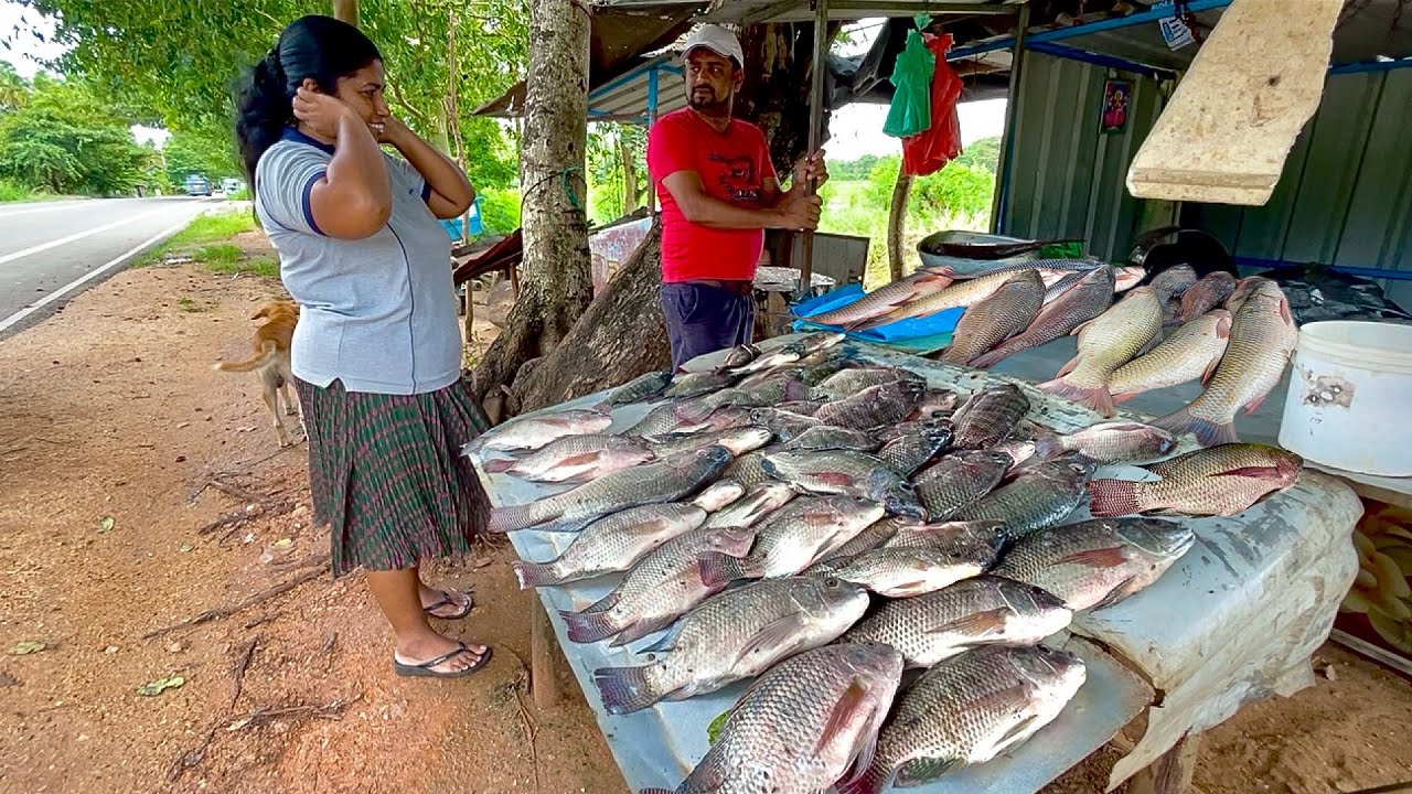 VITAL! Why Location is Everything at This Island Village Fish Market!