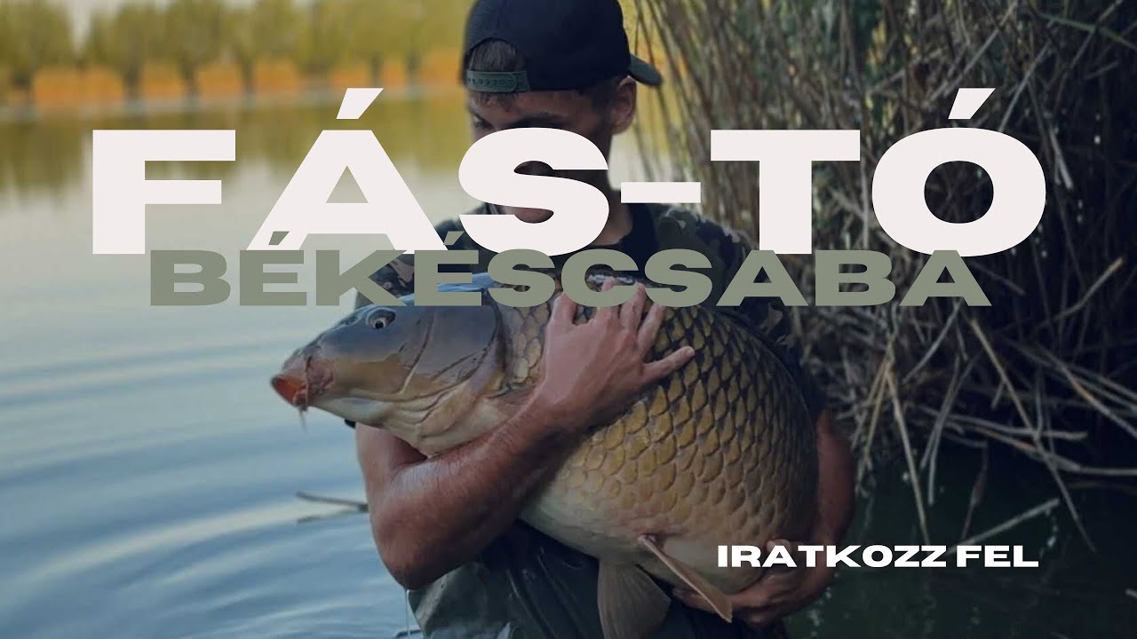 HAJSZA A FÁS-TAVI ÓRIÁS PONTYOK UTÁN II. rész - Az első 20+-os pontyom története.