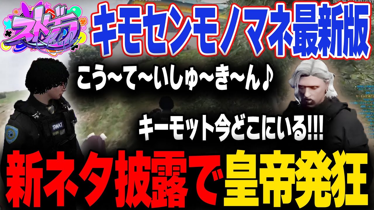 【#ストグラ】警察無線モノマネしながらマトリする北署コンビ【花芽なずな/るなりあ/yue/アジ吉/ストグラ切り抜き/きもともと】
