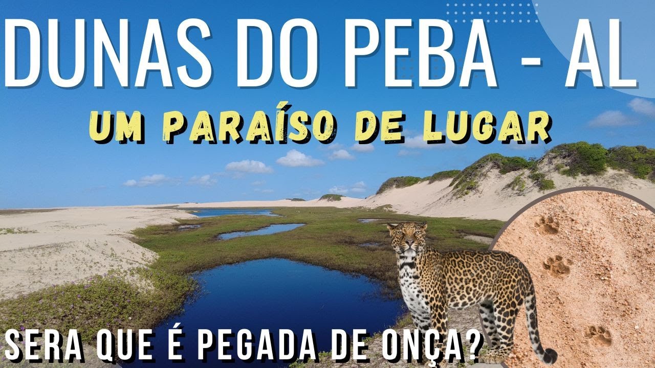 Praia Pontal do Peba Piaçabuçu Alagoas