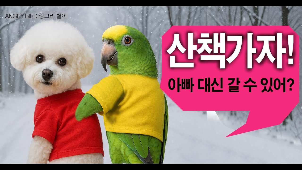 앵무새가 강아지를 산책 시킨다??? / 겨울이되니 기분이 별로인 별이/ 앵무새가 개콘보다 더 웃기다!!  / 사람과 대화 가능앵무새 / ANGRY BIRD