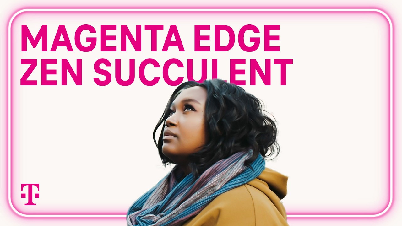 How Zen Succulent Utilized Bookkeeping Services to Grow | T-Mobile