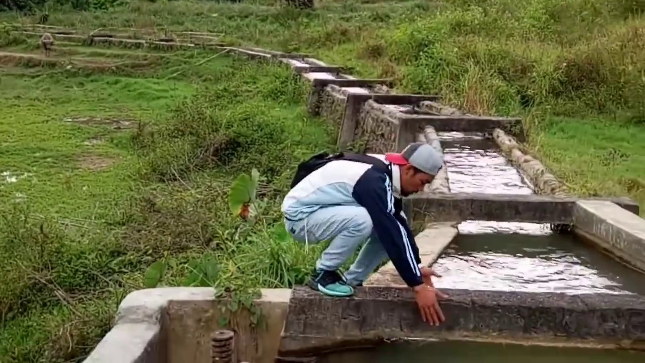 PEMBANGKIT LISTRIK TENAGA MIKRO HIDRO