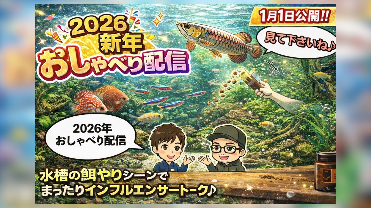 2026年総合アクアリウムショップペットバルーン1本目の動画 2026年新年おしゃべり配信 水槽の餌やりシーンを見ながらまったりスタッフトークをお届けします。