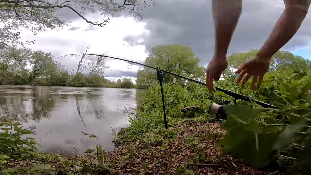 Der erste Ansitz 2022 am kleinen Fluss I The RiverVlog Folge 34