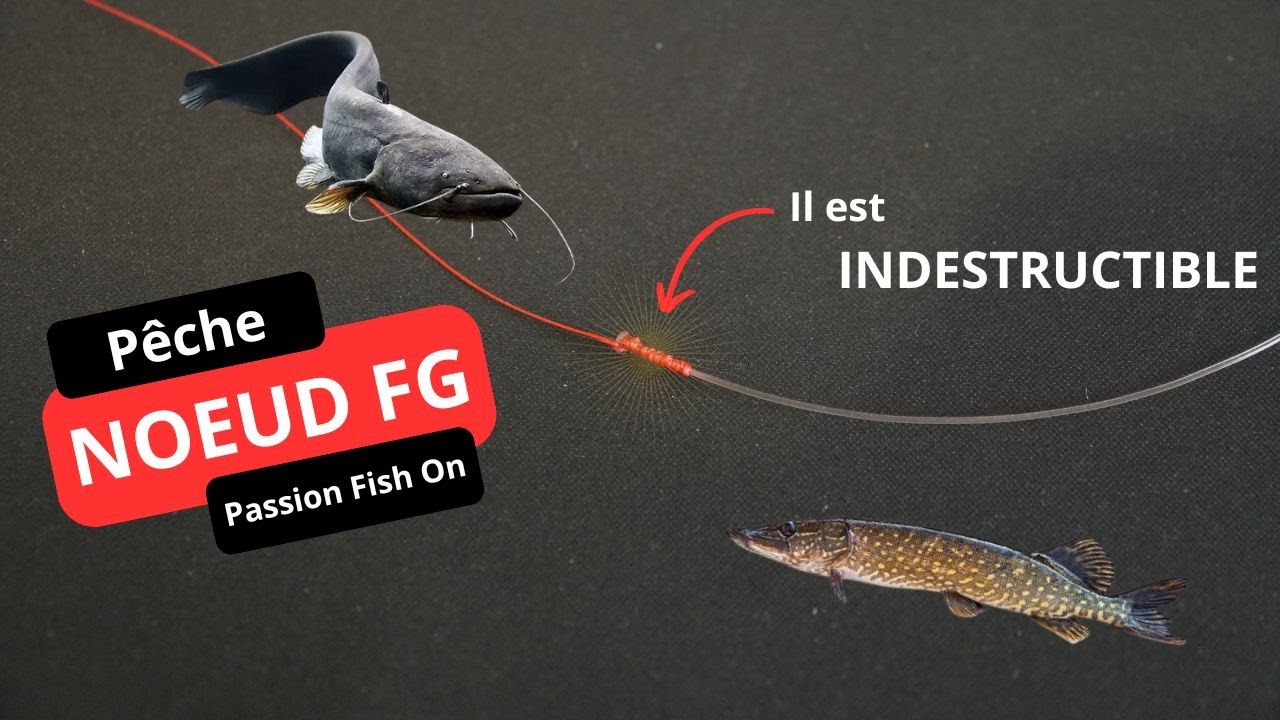PECHE - Réaliser un NOEUD FG - Raccord tresse fluoro INDESTRUCTIBLE !