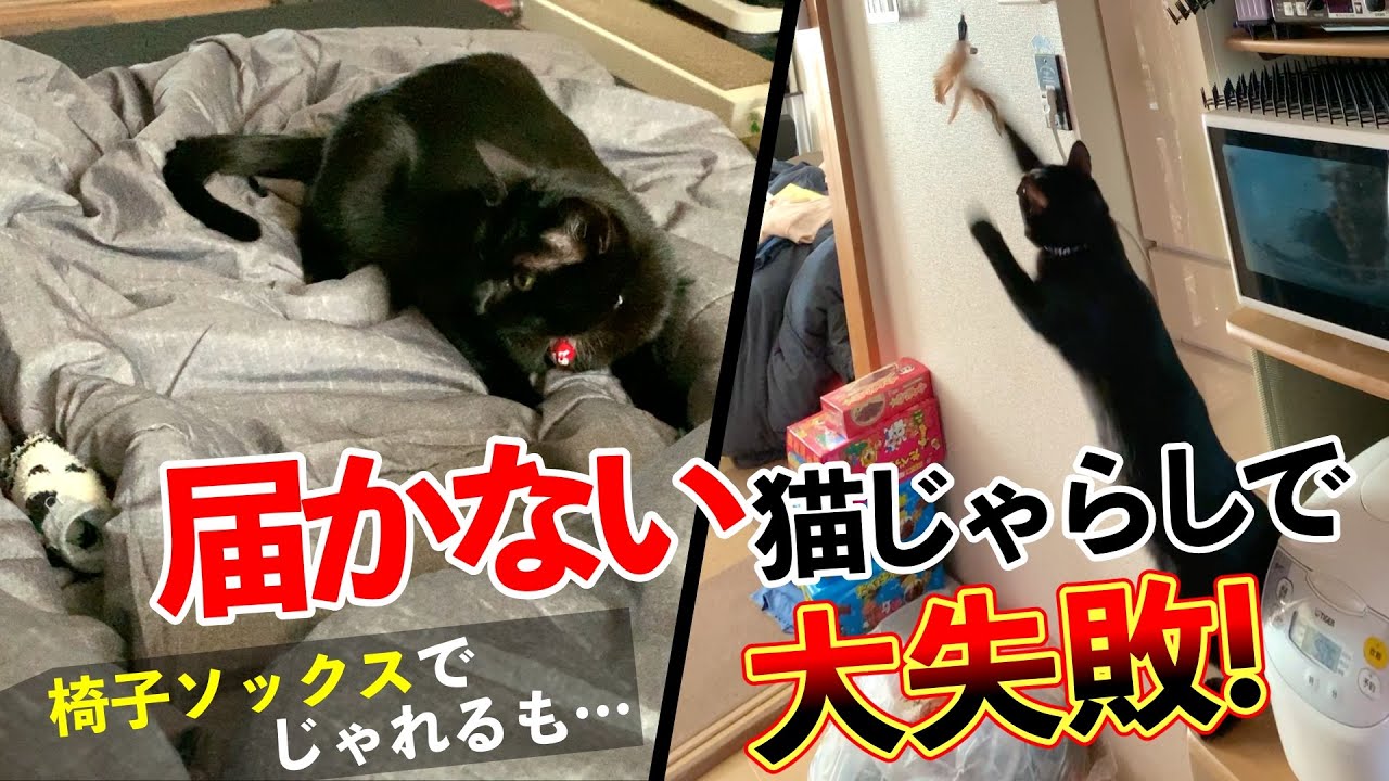 【第141話】届かない…！必死すぎる猫の大失敗が可愛すぎたww