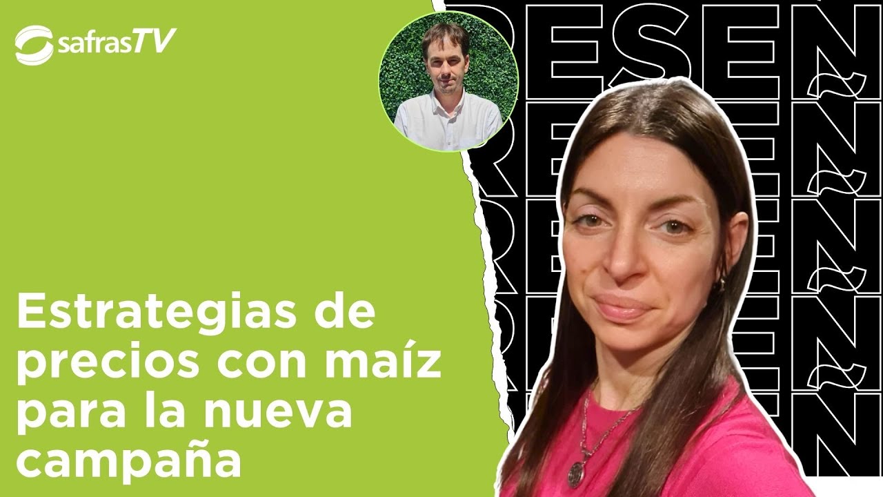 Estrategias de precios con maíz para la nueva campaña