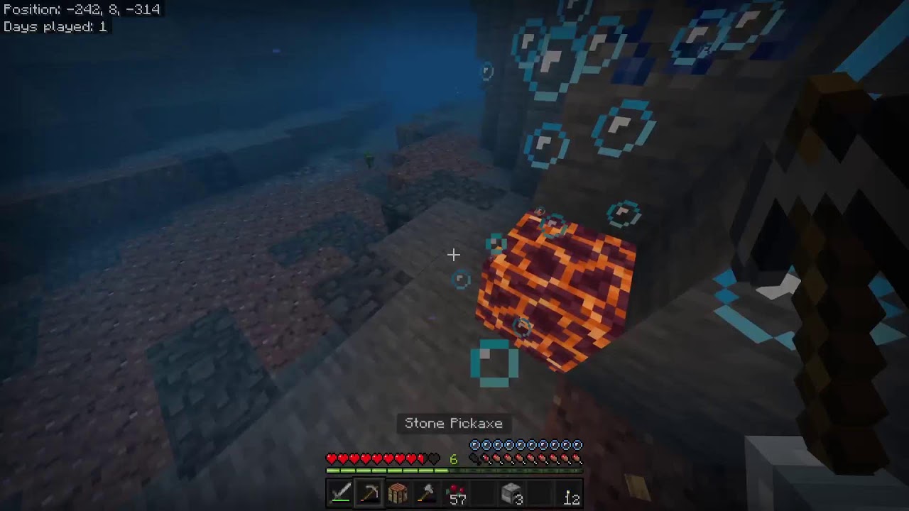 Minecraft survival