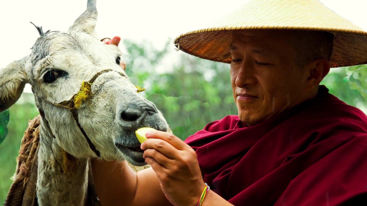 A tribute to Dzongsar Jamyang Khyentse Rinpoche