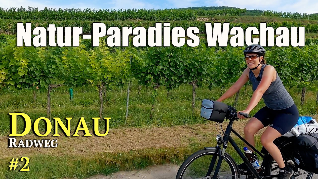 Donau-Radweg 2 | Naturparadies Wachau | Europa-Radreise #27 von 53