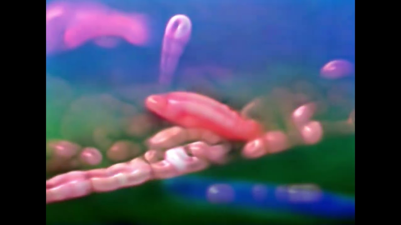 fischy Stinkey Poooh