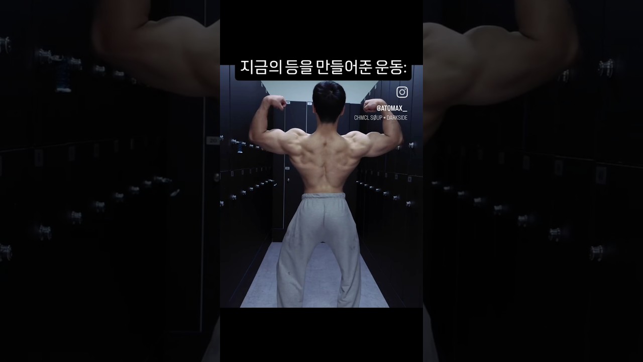 6년간 꾸준히 했던 등 메인운동