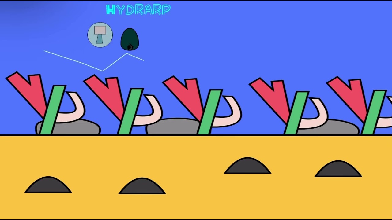 Hydrarp - Fishy Sea