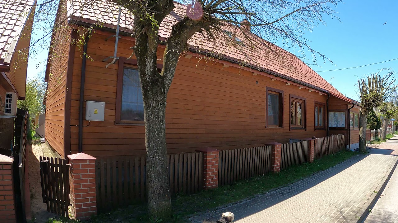 11 maja 2021 Białowieża (Park Pałacowy - Ul. Stoczek)