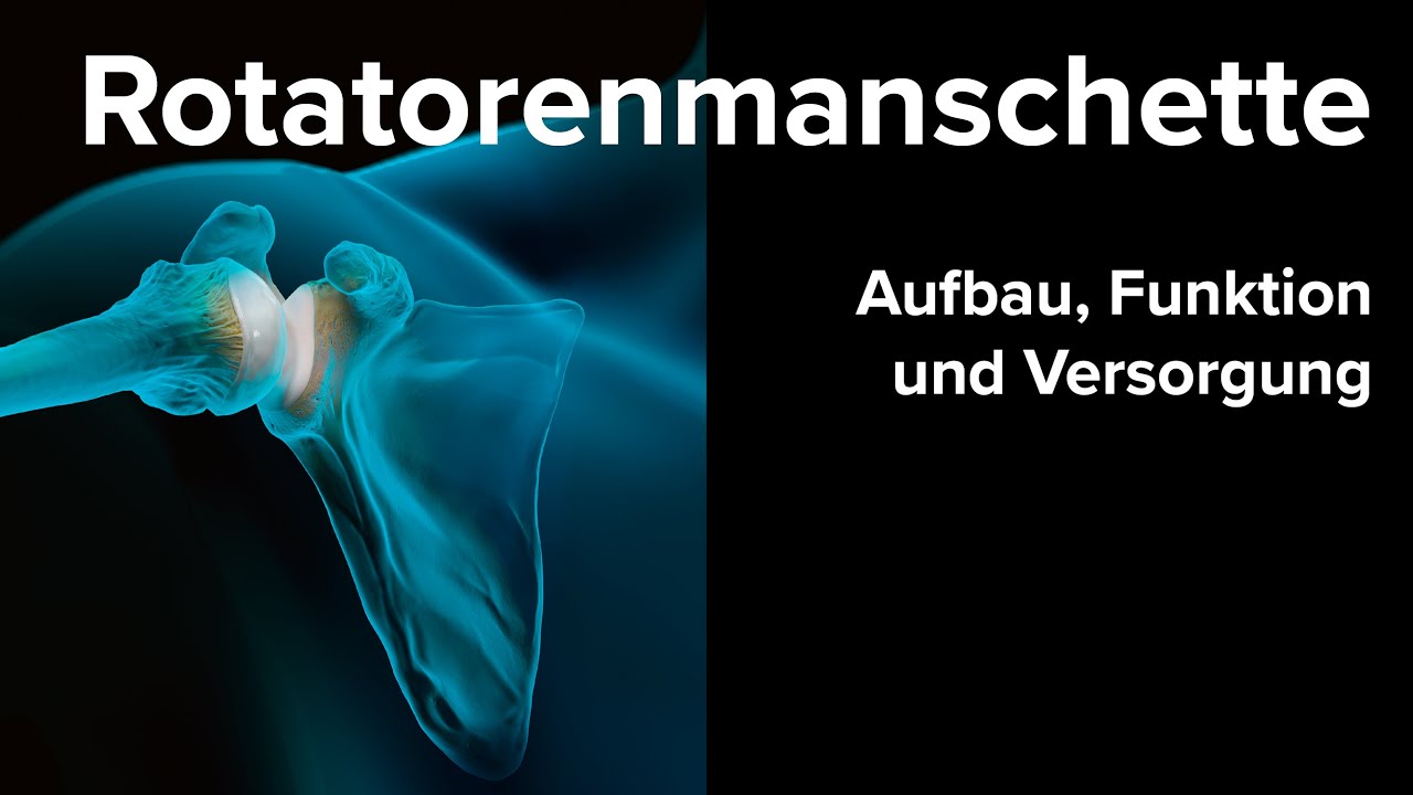 Rotatorenmanschette