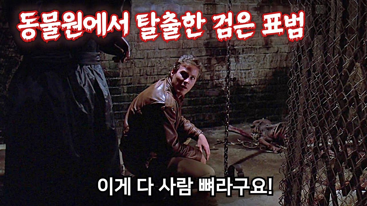 도시를 피로 물들이는 흑표범의 충격적인 정체 | 결말 포함