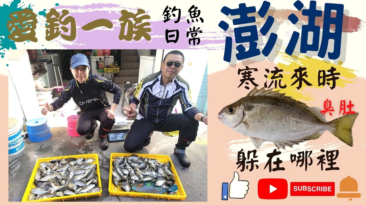 【釣魚日常- 澎湖】在澎湖本島的好釣點，居然遇到寒流時也能臭肚拉不停!!!車停下來就能釣/旁邊就有便利商店/釣具店