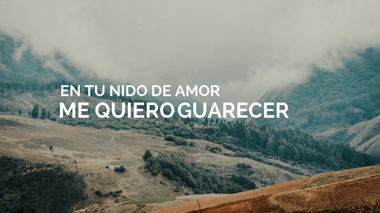 Yuri Mijail - En Tus Brazos de Amor (Lyric Video)