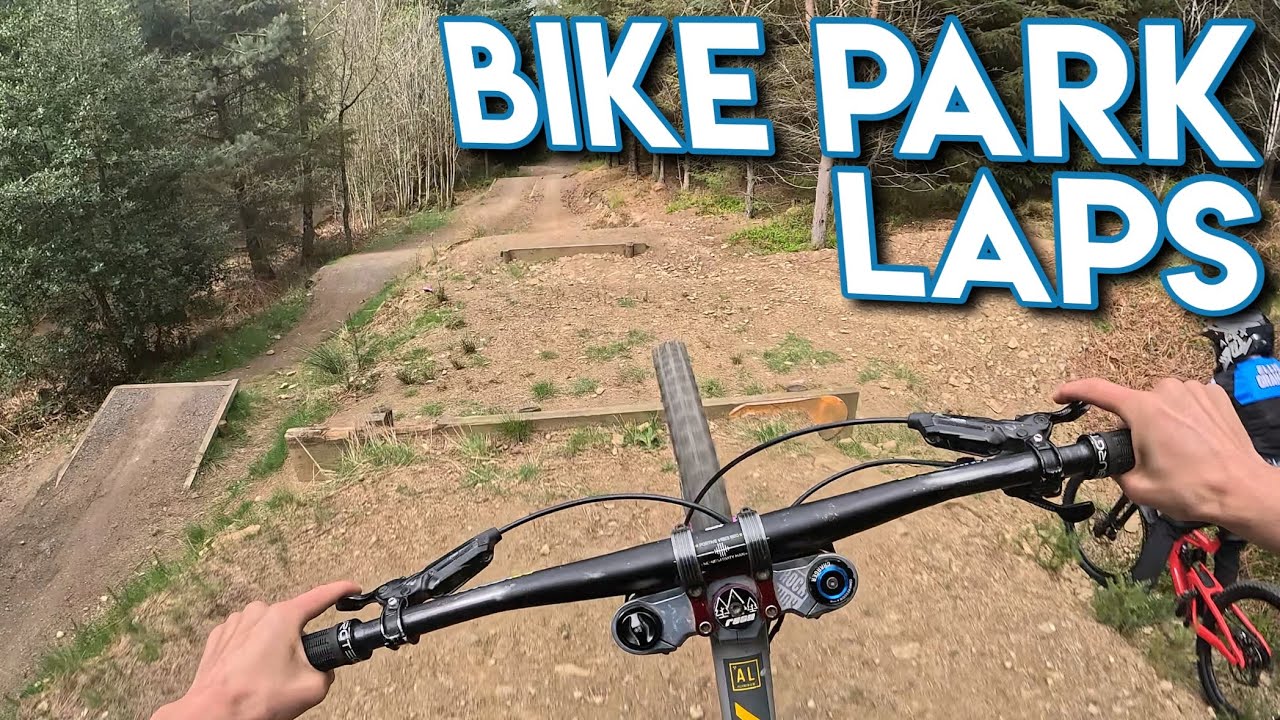 Downhill laps and loamers at Hamsterley Forest