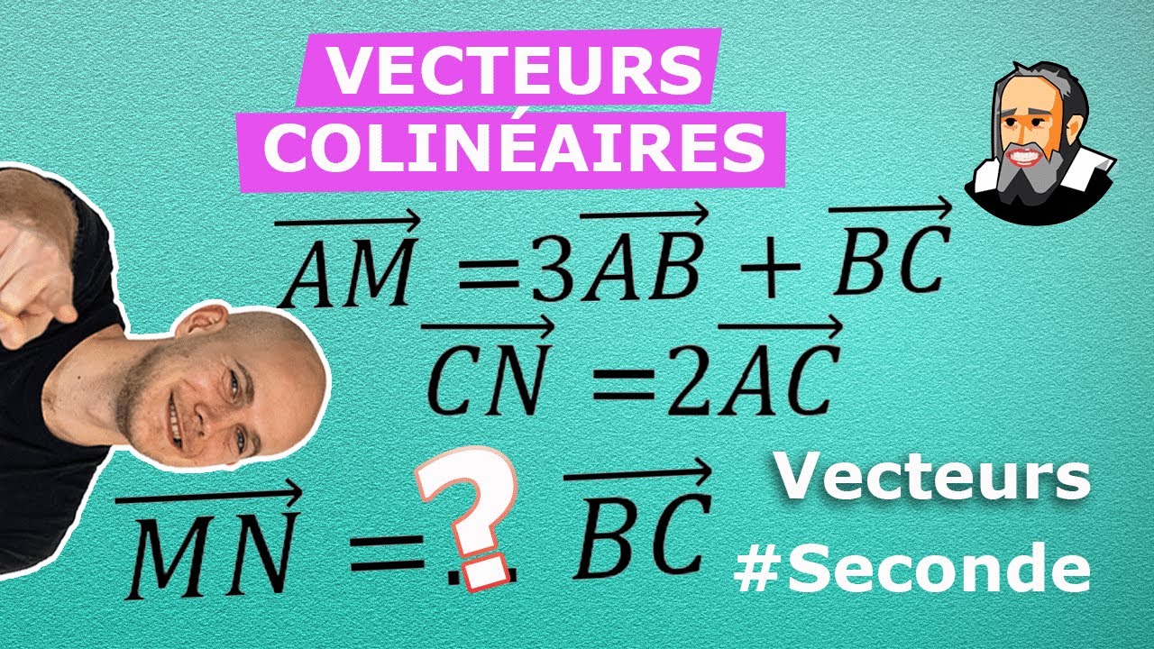 Vecteurs COLINÉAIRES avec CHASLES -  Exercice Corrigé - Seconde