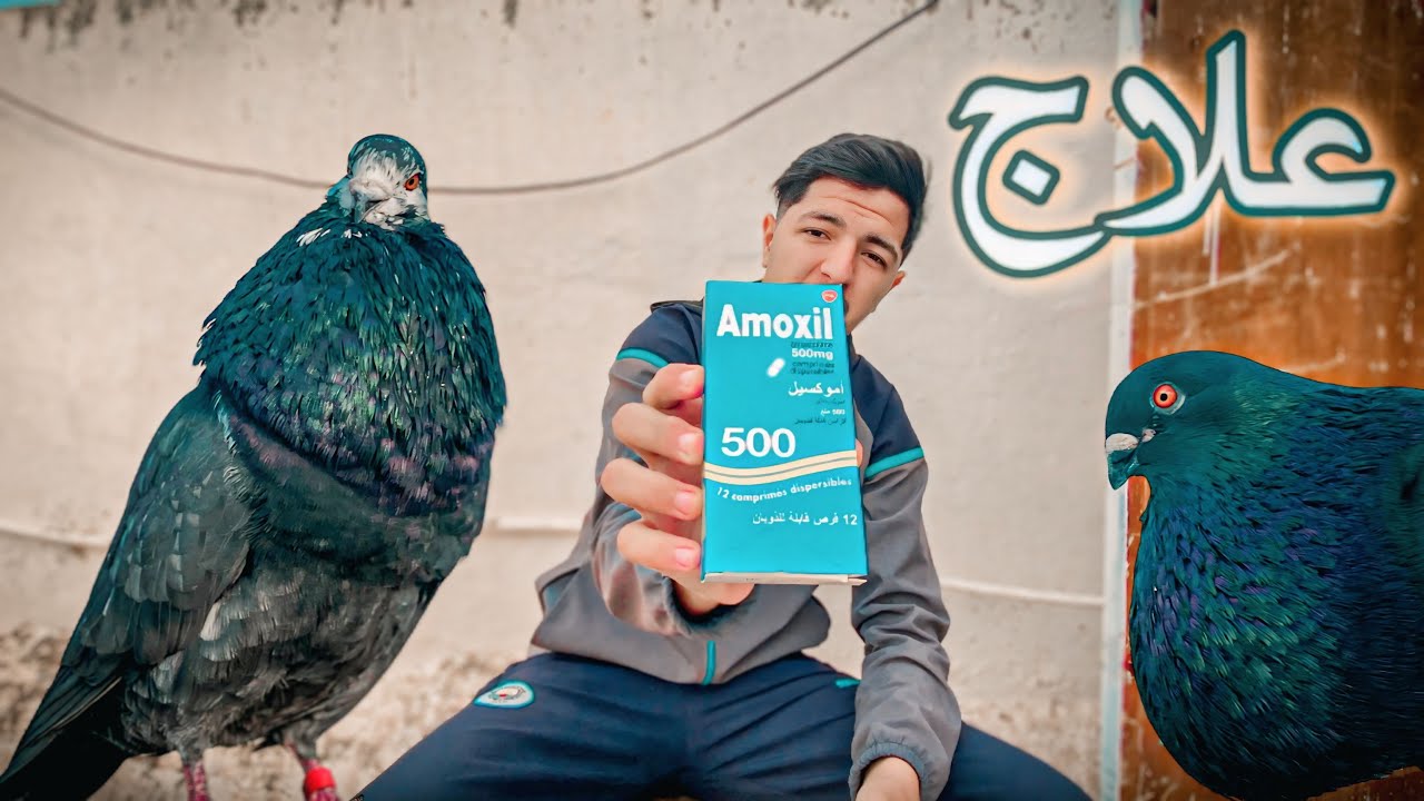 علاج مرض سالمونيلا 👌 الحمام 💯