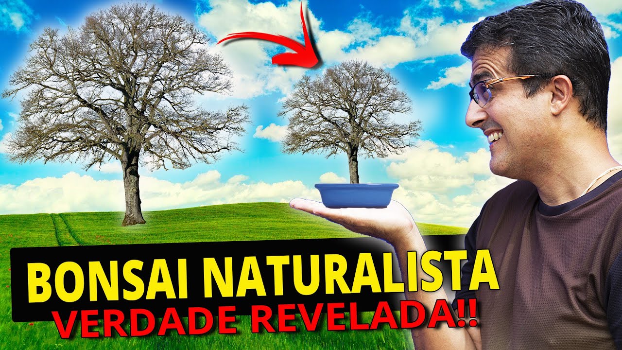 BONSAI NATURALISTA, O QUE É? COMO FAZER? MITOS E VERDADES!