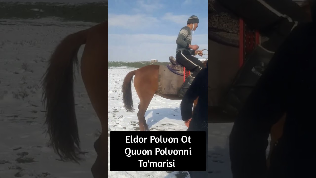 Boyturi Otni Egasi Utkir Boy Va To'maris Otni Egasi Quvon Polvonni Ko'pkarisi. 18.01.2026-Yil 1-Qism