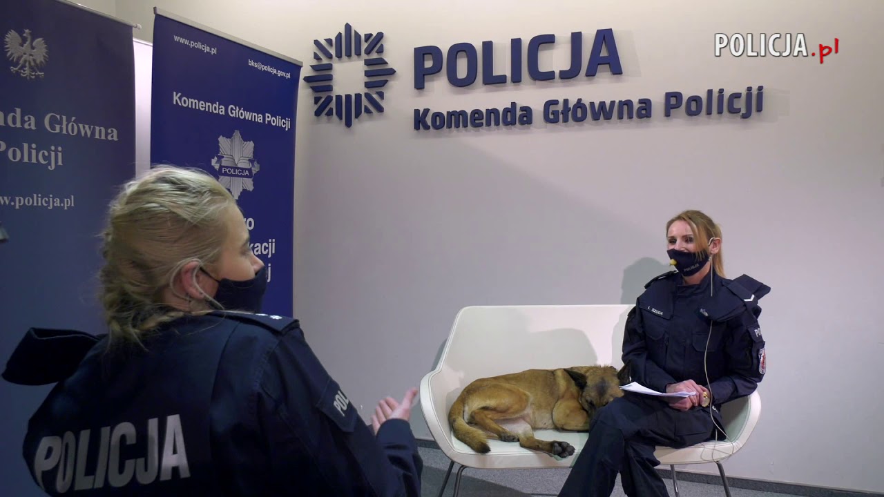 Zostań przewodnikiem psa służbowego - #livezpolicją @PolskaPolicja