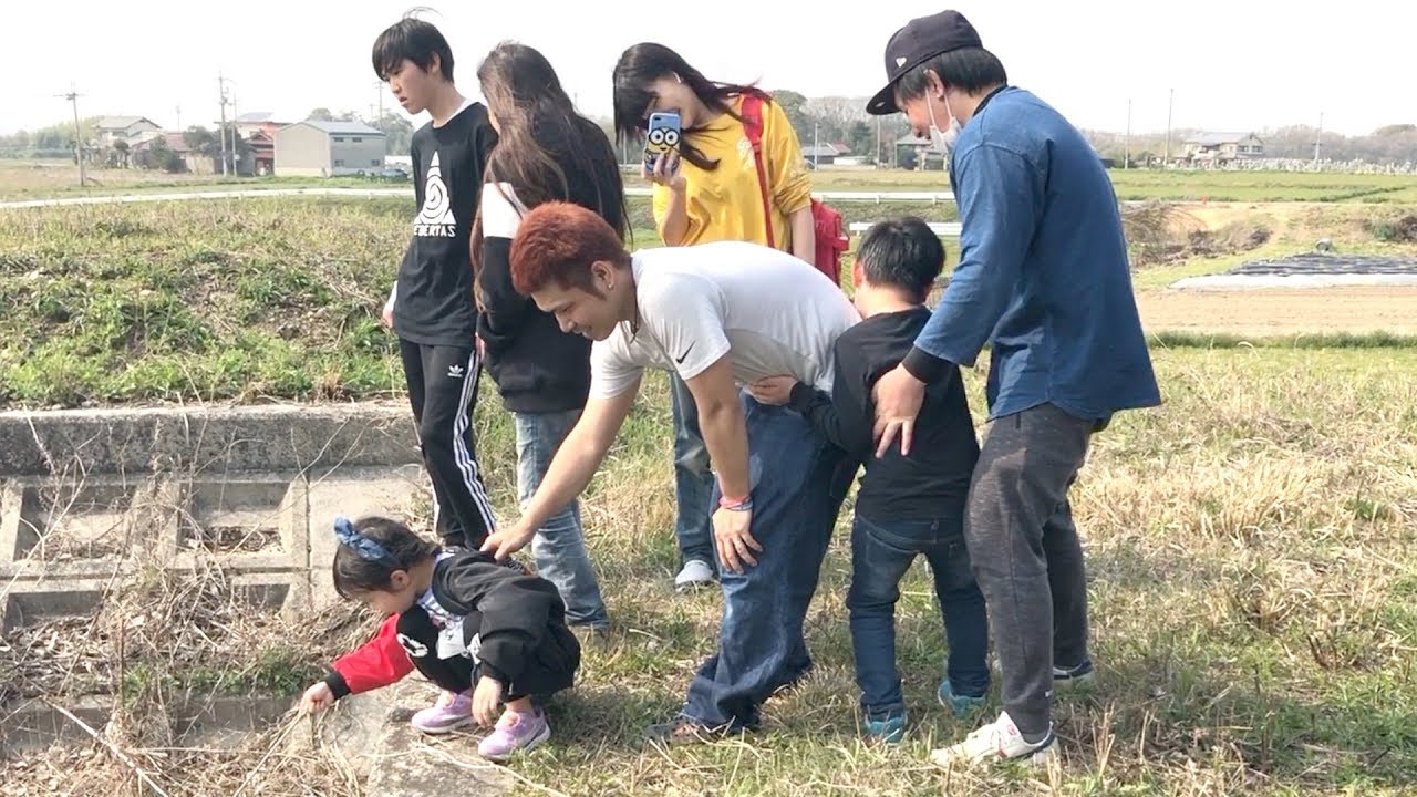 カメがめっちゃおる⁉️ななたんが池に落ちないように・・w【ココロマン普段の様子】