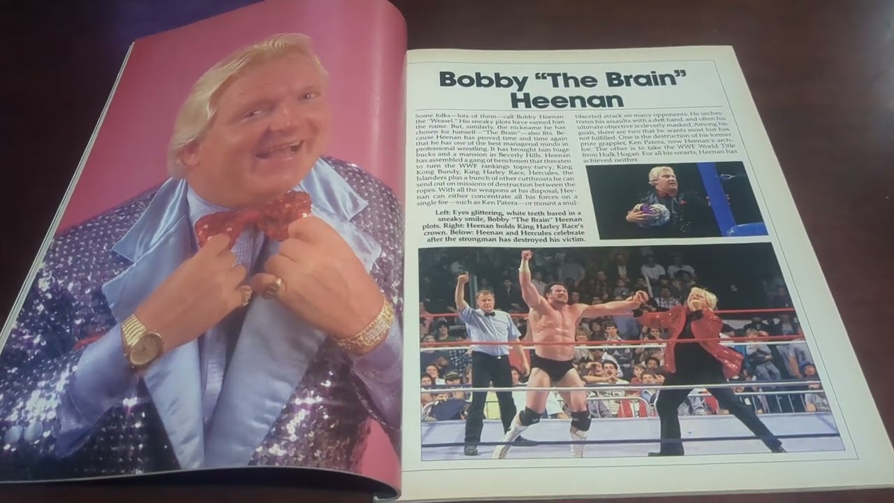 WWF Superstars 2 magazine