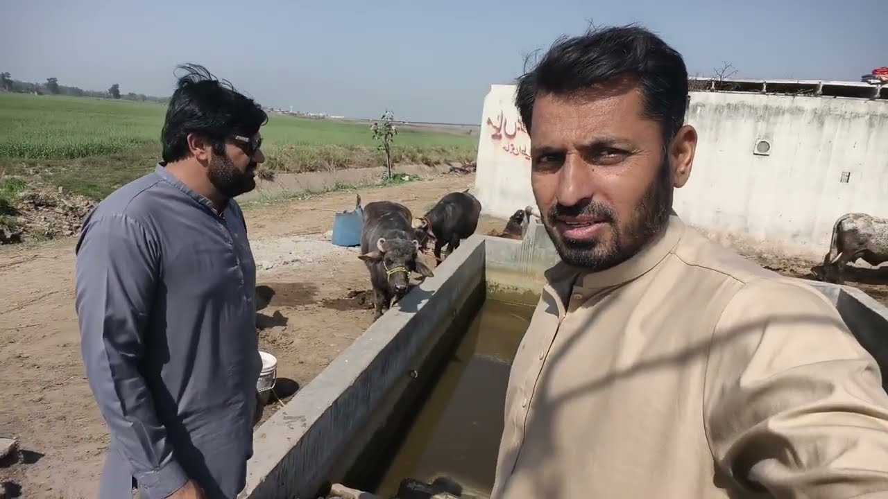 Maveshi farmhouse visit Sialkot airport