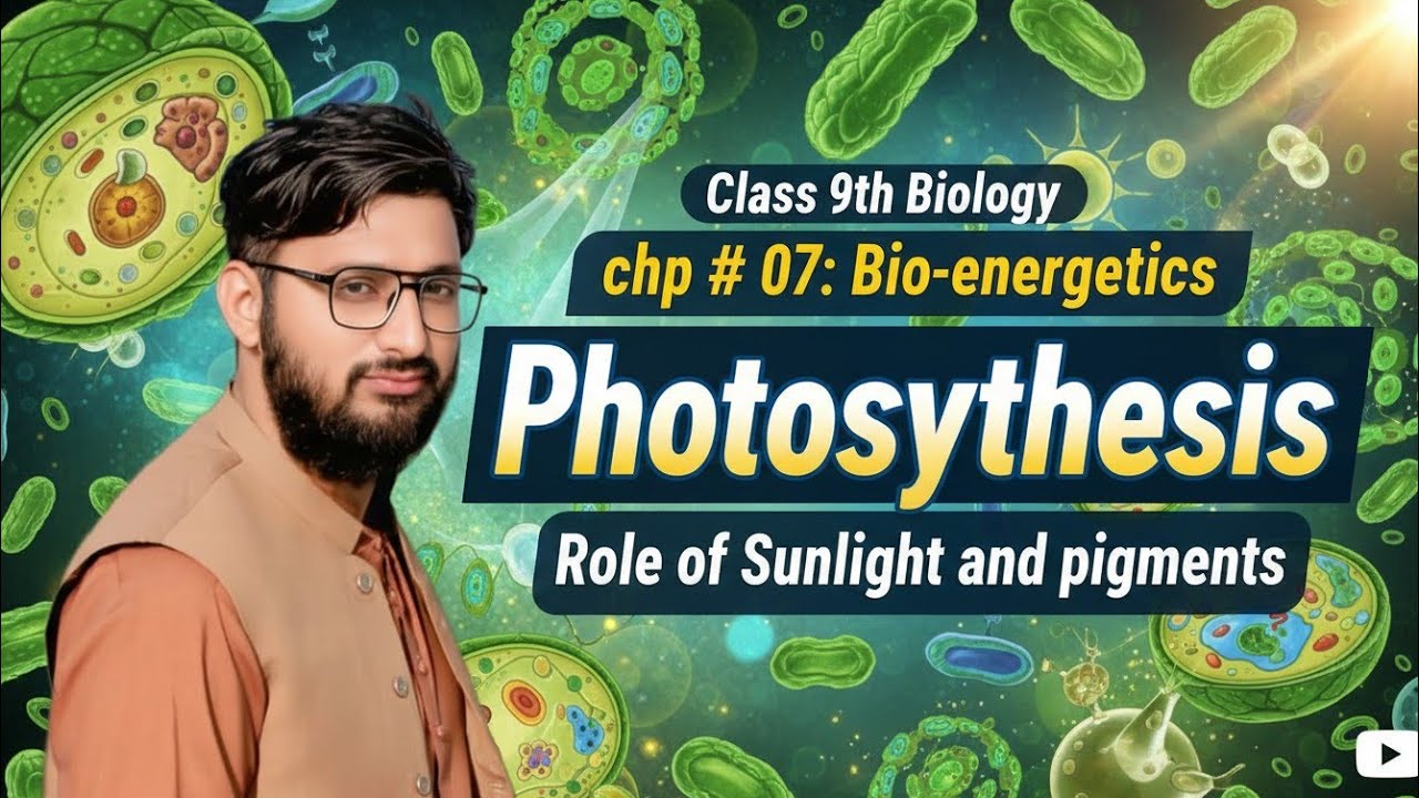 Role of Sunlight and pigments in photosynthesis | Why Sunlight and Pigments Matter|types of pigment.