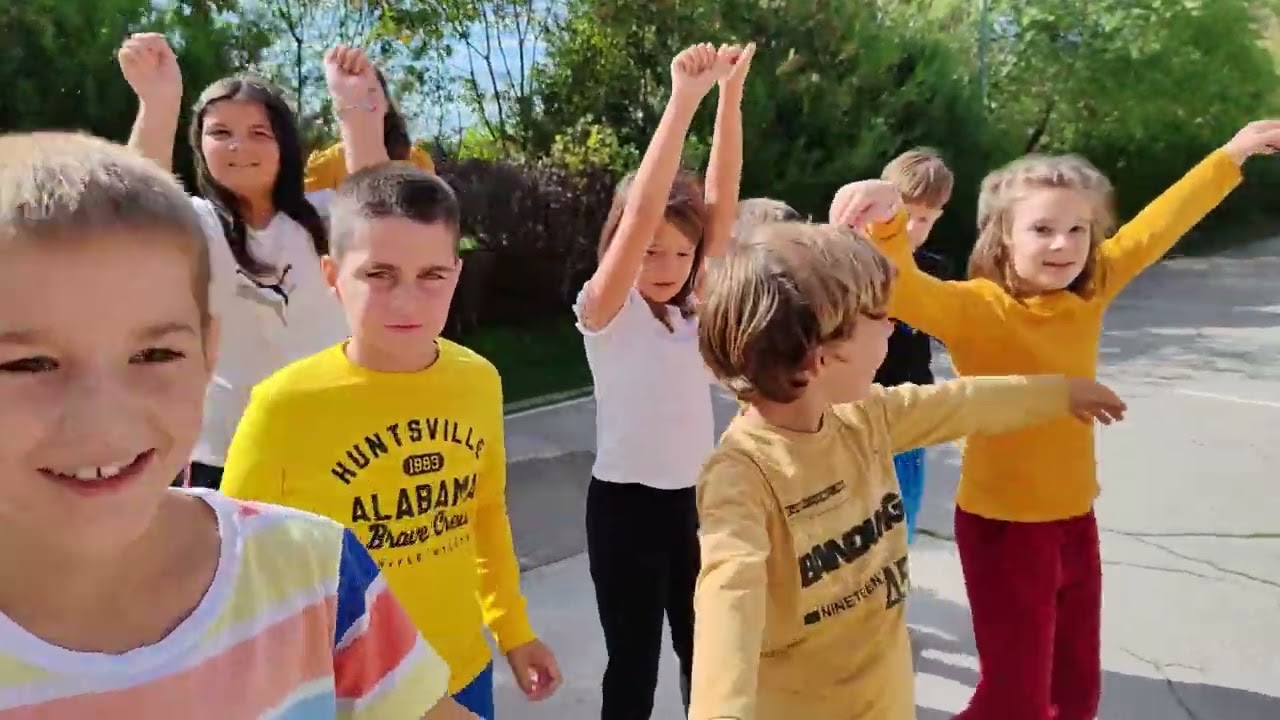Музички дан -  FLASH MOB (краћи)