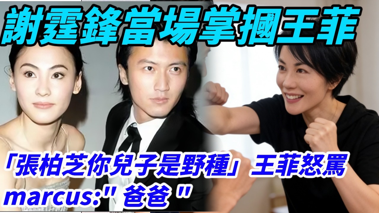 「張柏芝你兒子是野種」王菲怒罵，謝霆鋒當場掌摑王菲護張柏芝，marcus: