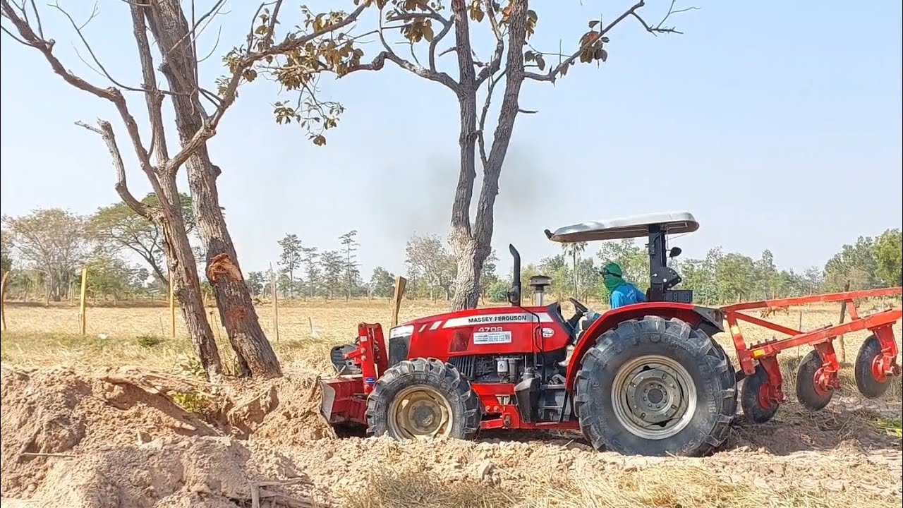 ล้มต้นไม้ไม่ใช่เรื่องยากสำหรับเขา massey ferguson 4708