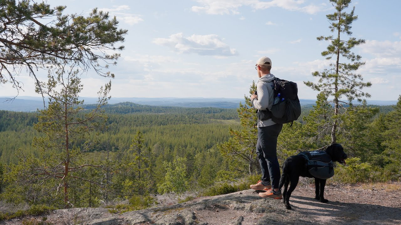 First Solo Hike With My Dog - Kindla Naturreservat Sweden - Silent Hiking
