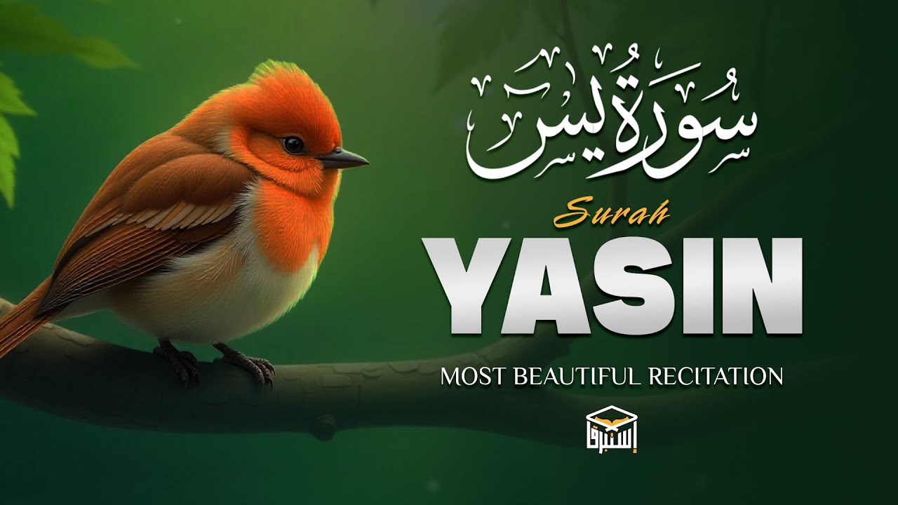 Surah Yasin (Yaseen) سورة يس | Peaceful Soundtrack for the Soul | Istabraq TV