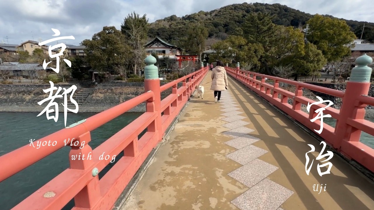 【京都】犬と歩くゆったり宇治散策 | Relaxing Walk in Uji with My Dog